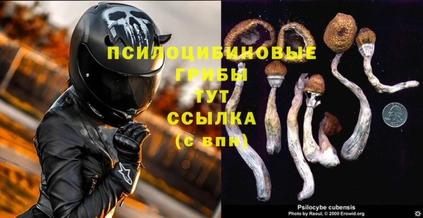 каннабис Алексеевка
